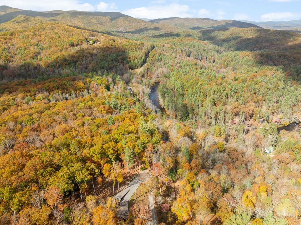 247 Toccoa Overlook Drive Blue Ridge, GA 30513 - Photo 38 of 59