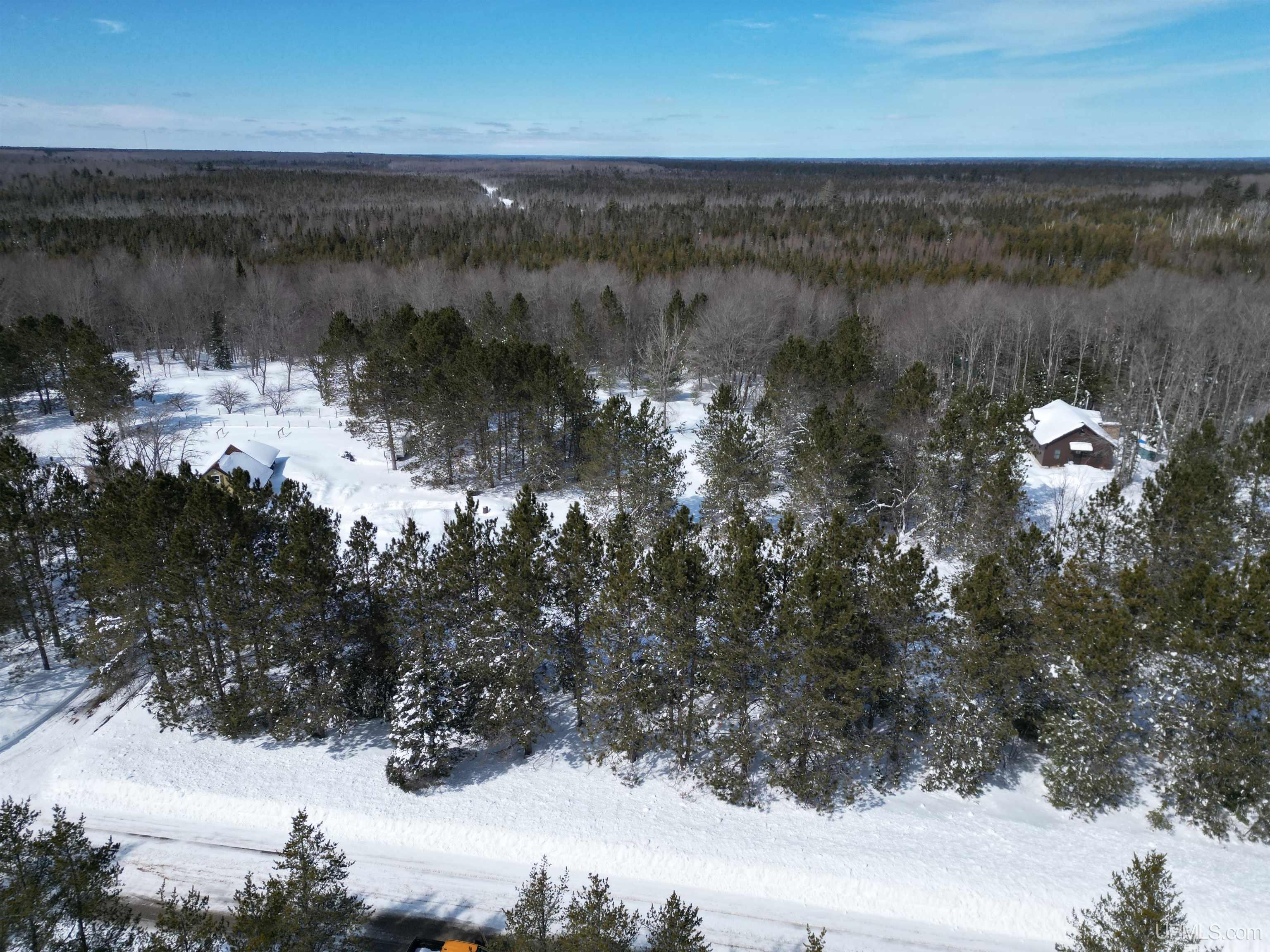 Tbd West Smith Lake Road Manistique, MI 49854 - Photo 7 of 20