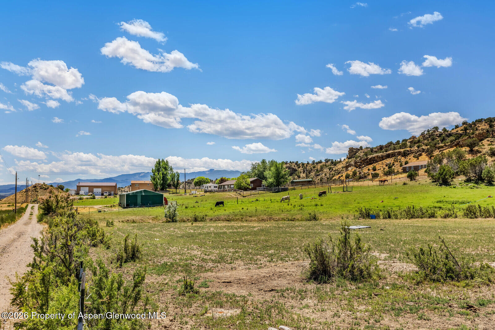 2880 County Road 233 Rifle, CO 81650 - Photo 42 of 47 a view of a big yard with large tree