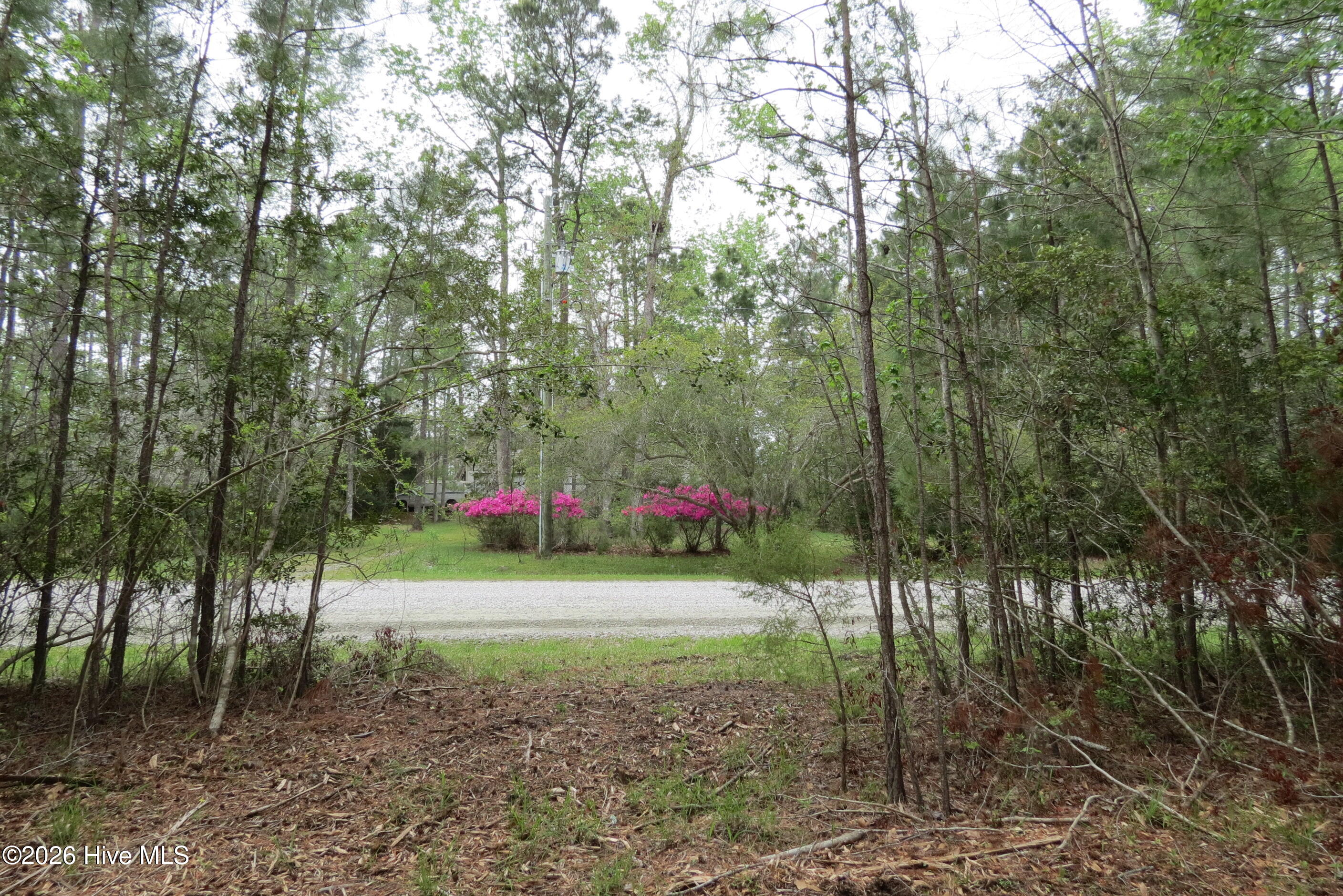 336 Mills Road Oriental, NC 28571 - Photo 16 of 30 IMG_2718