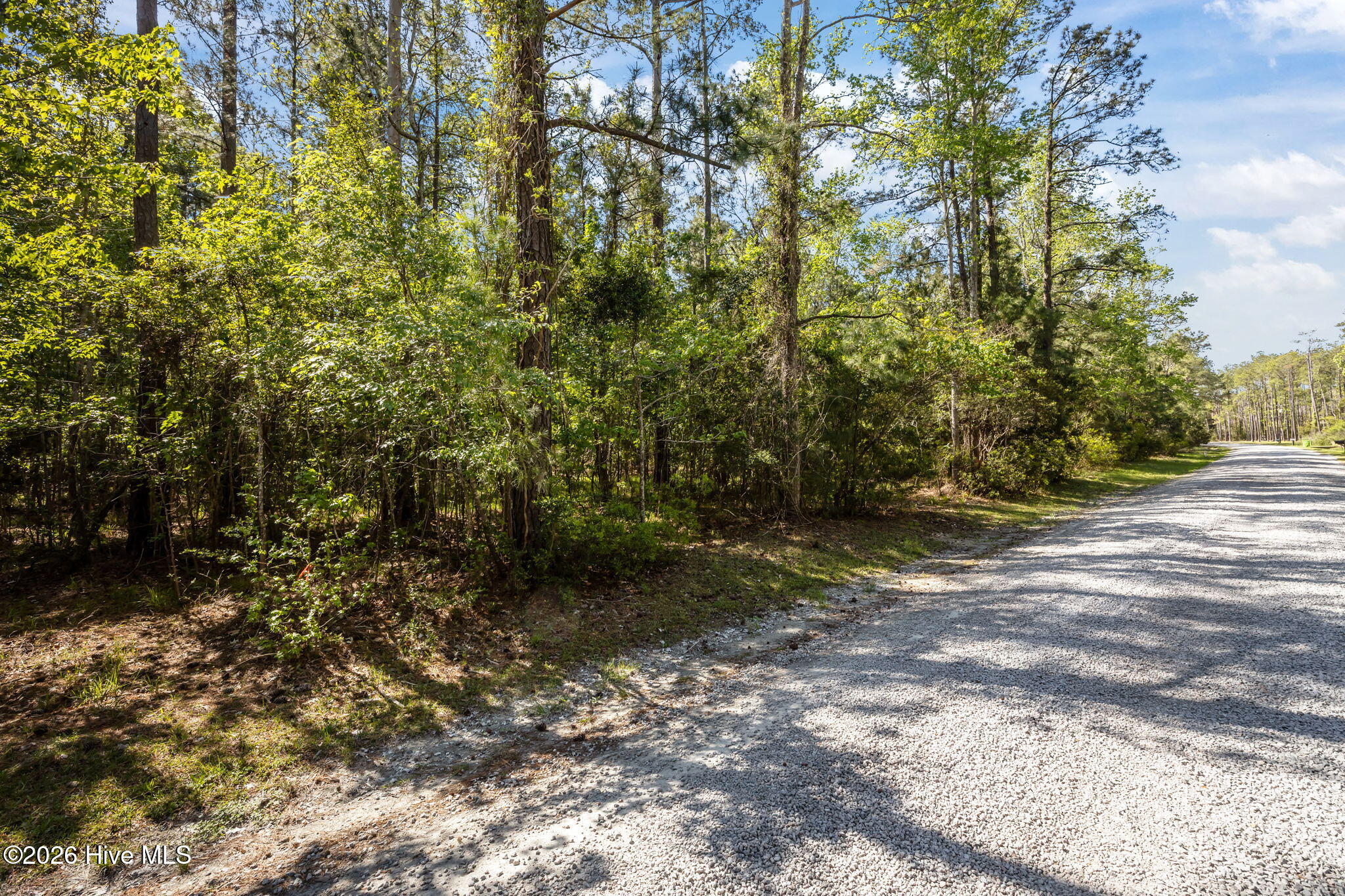 336 Mills Road Oriental, NC 28571 - Photo 17 of 30 2-web-or-mls-0C0A0005