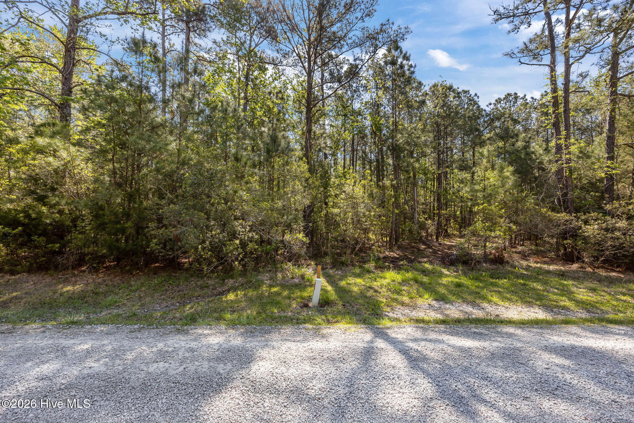 336 Mills Road Oriental, NC 28571 - Photo 18 of 30 3-web-or-mls-0C0A0008