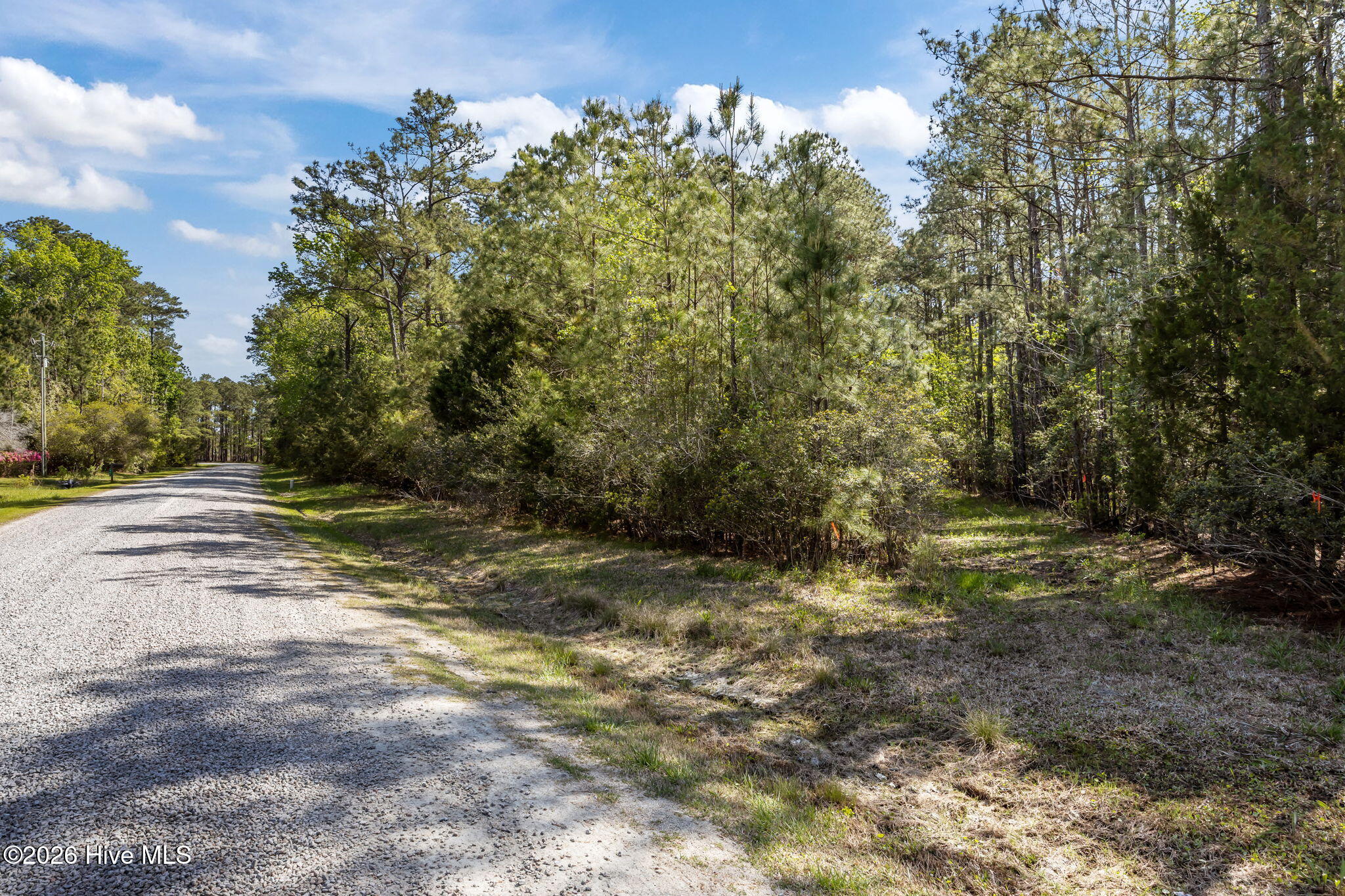336 Mills Road Oriental, NC 28571 - Photo 19 of 30 4-web-or-mls-0C0A0009