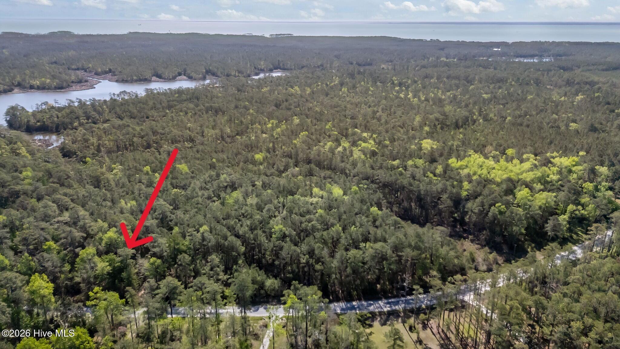 336 Mills Road Oriental, NC 28571 - Photo 2 of 30 13-web-or-mls-DJI_20260413103323_0010_D