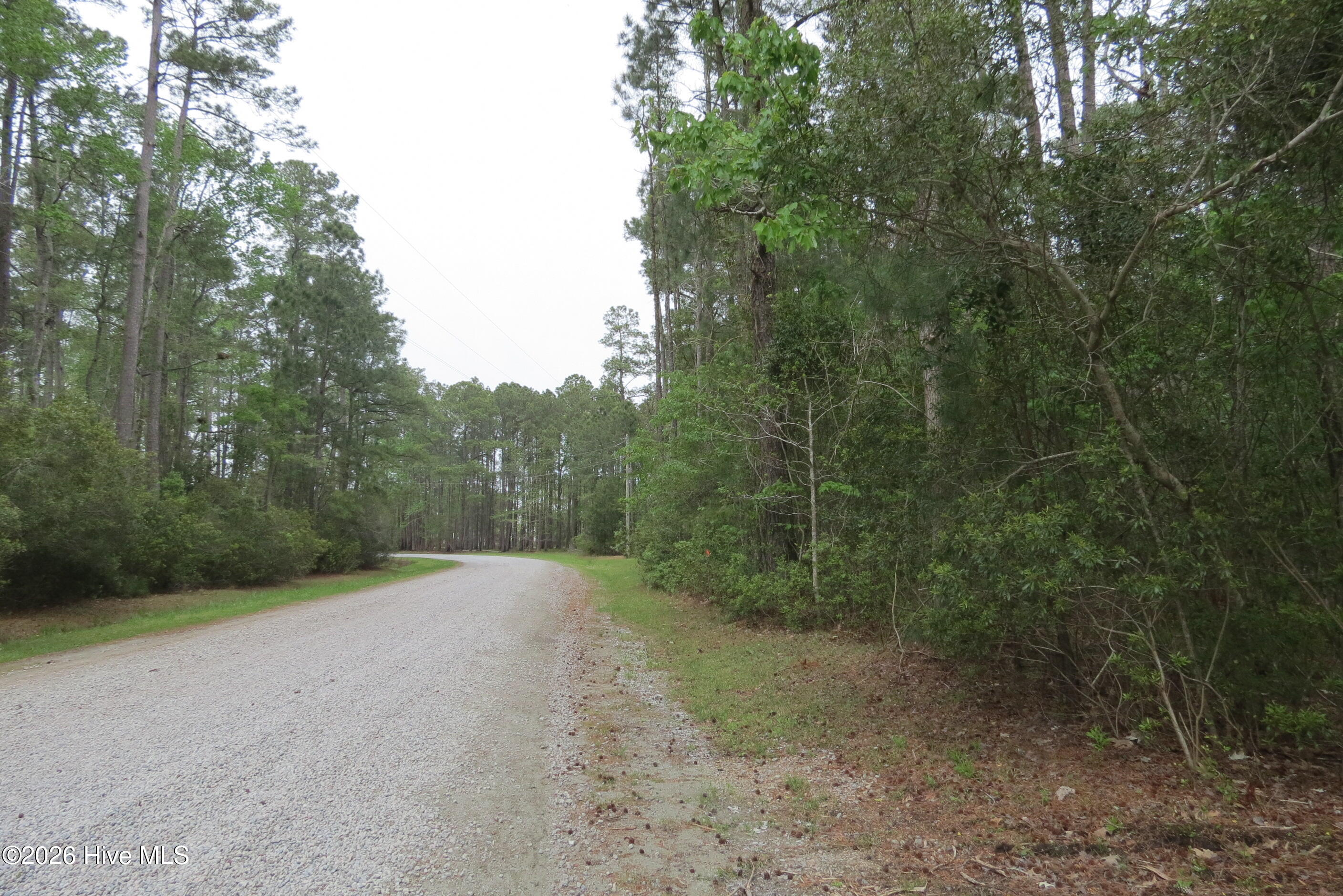 336 Mills Road Oriental, NC 28571 - Photo 29 of 30 IMG_2709