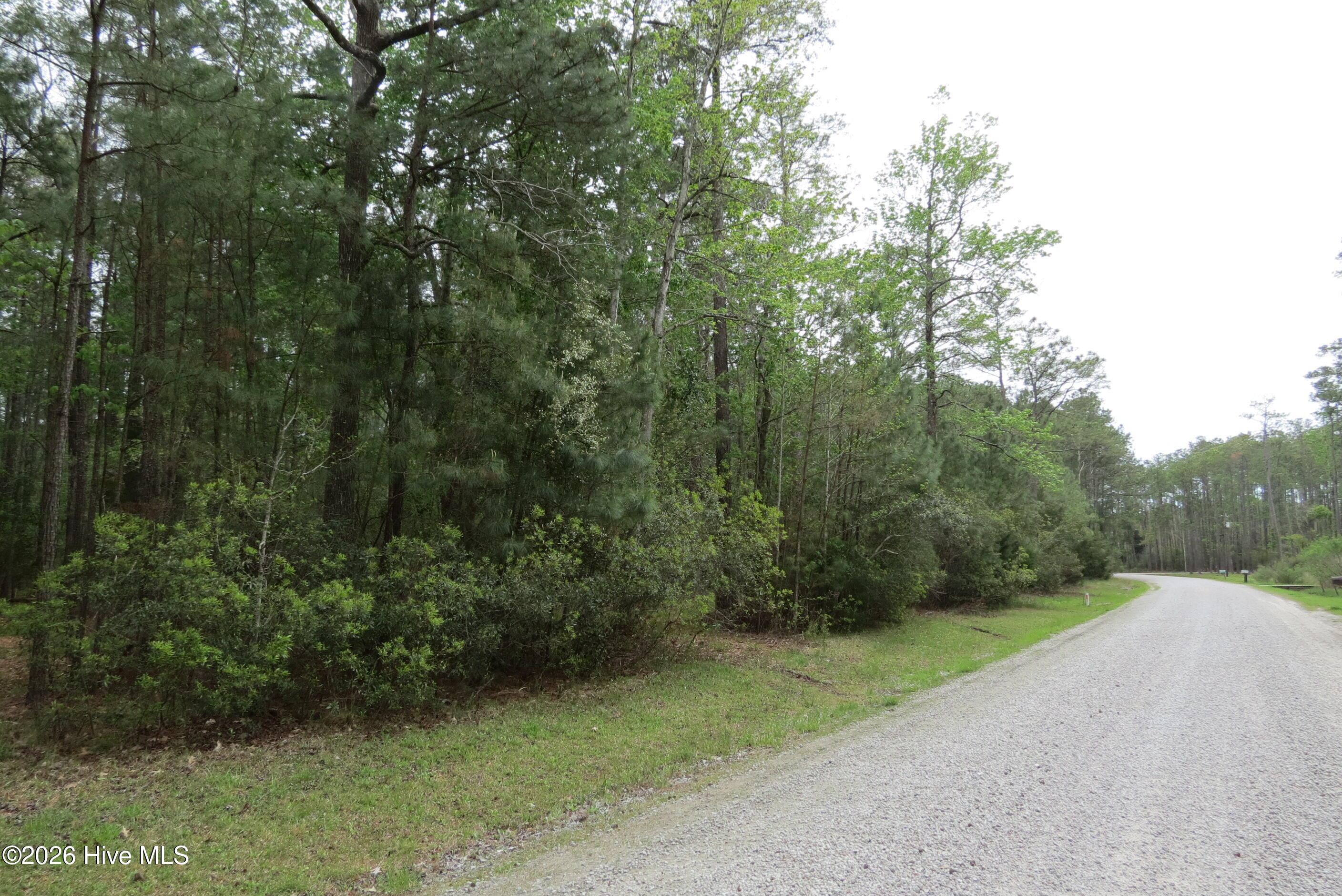 336 Mills Road Oriental, NC 28571 - Photo 30 of 30 IMG_2707