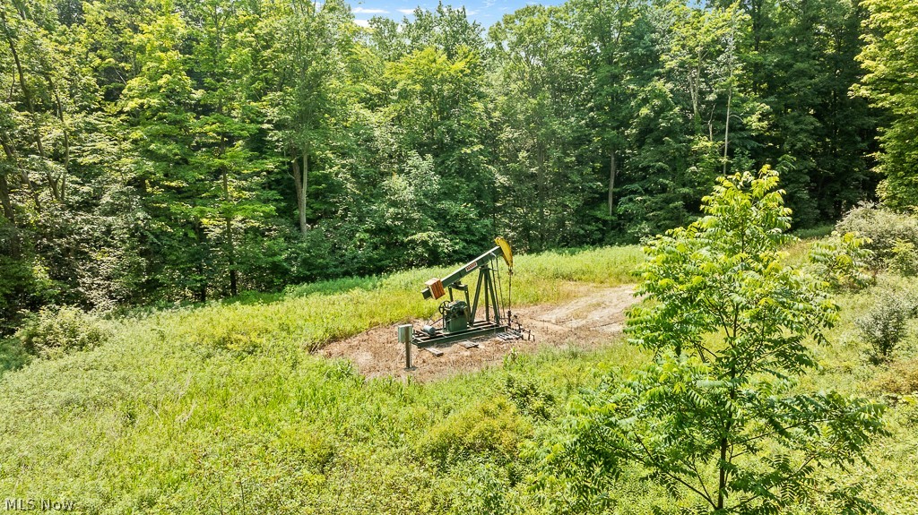 9712 Nichols Road Windham, OH 44288 - Photo 49 of 50 View of home's community