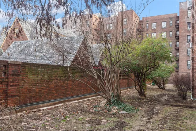 a view of a backyard with plants and large trees