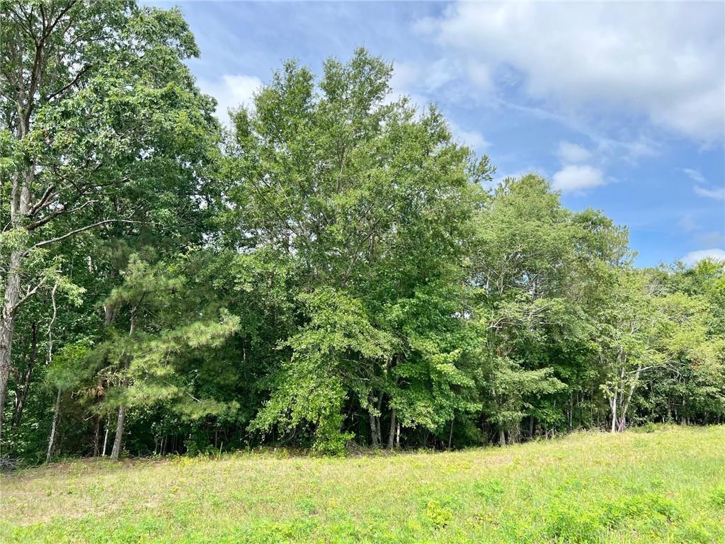 140 Daniel Ridge Southwest Cartersville, GA 30120 - Photo 2 of 3