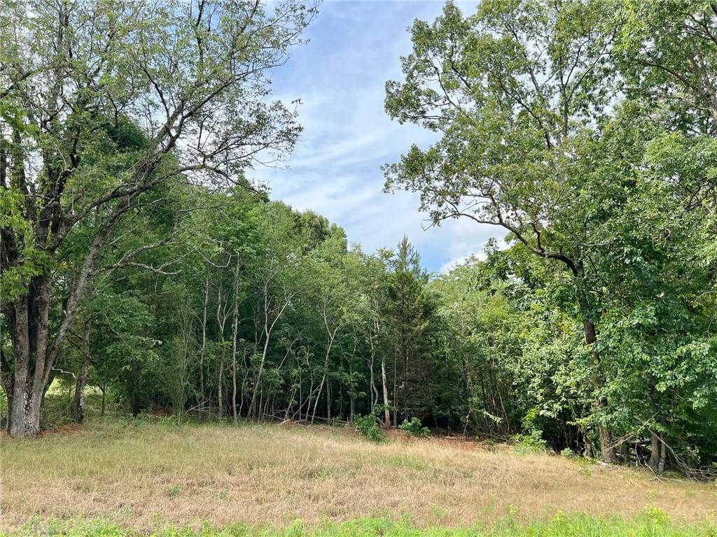 140 Daniel Ridge Southwest Cartersville, GA 30120 - Photo 3 of 3