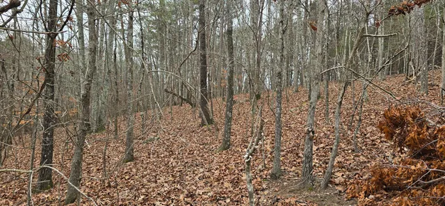 $29,000 | 116 Scenic View Drive, Summerville, GA 30747