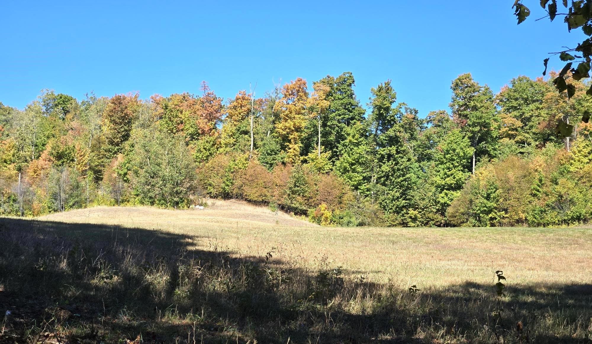 24 Heather Ridge Trail Beulah, MI 49617 - Photo 4 of 11