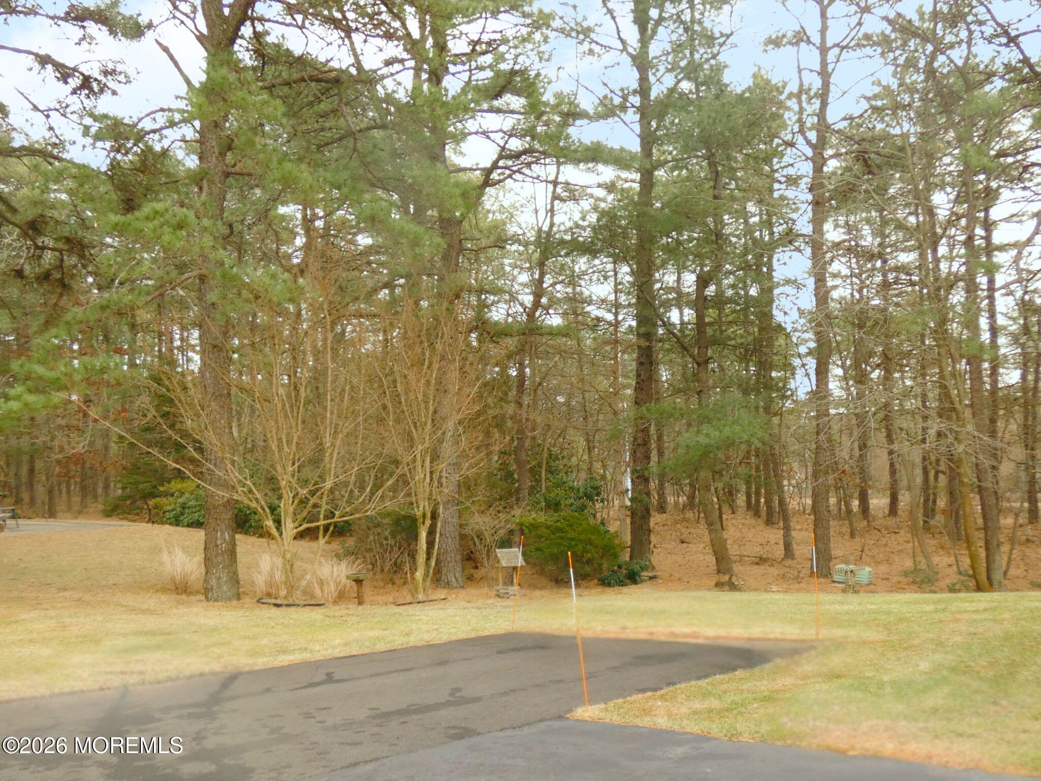 33D Medford Road, Unit A Manchester Township, NJ 08759 - Photo 22 of 24 a view of yard with tree in front of it
