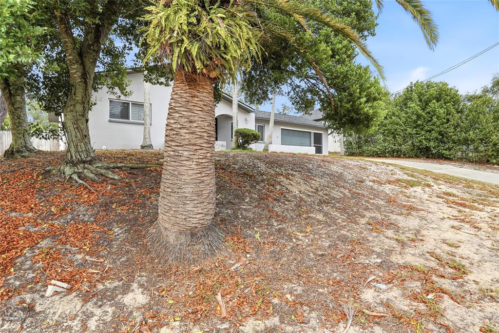 1376 Newhope Road Spring Hill, FL 34606 - Photo 3 of 36