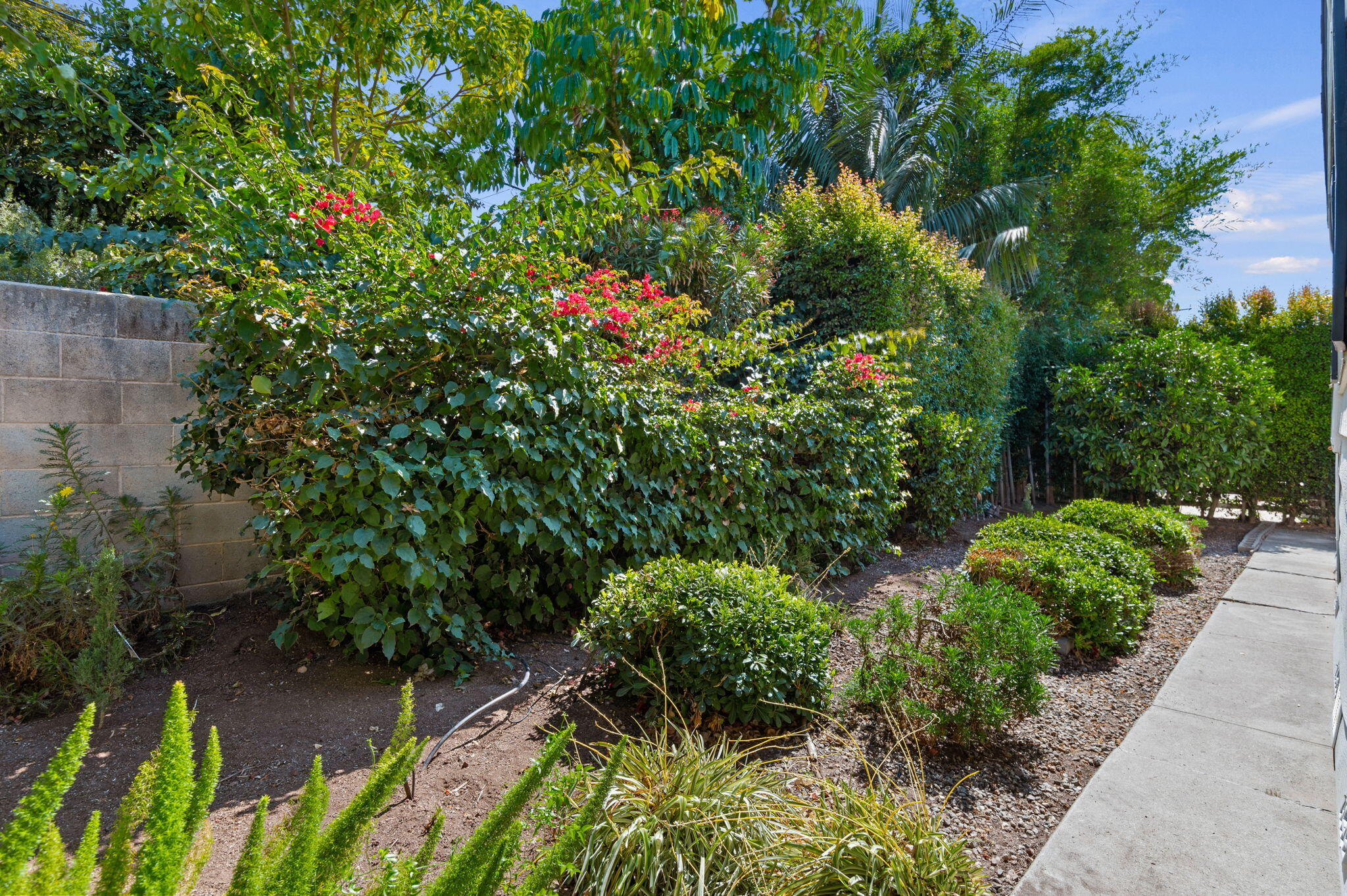 340 Old Mill Road, Unit SPC 12 Santa Barbara, CA 93110 - Photo 27 of 35 a backyard of a house with a yard and outdoor seating