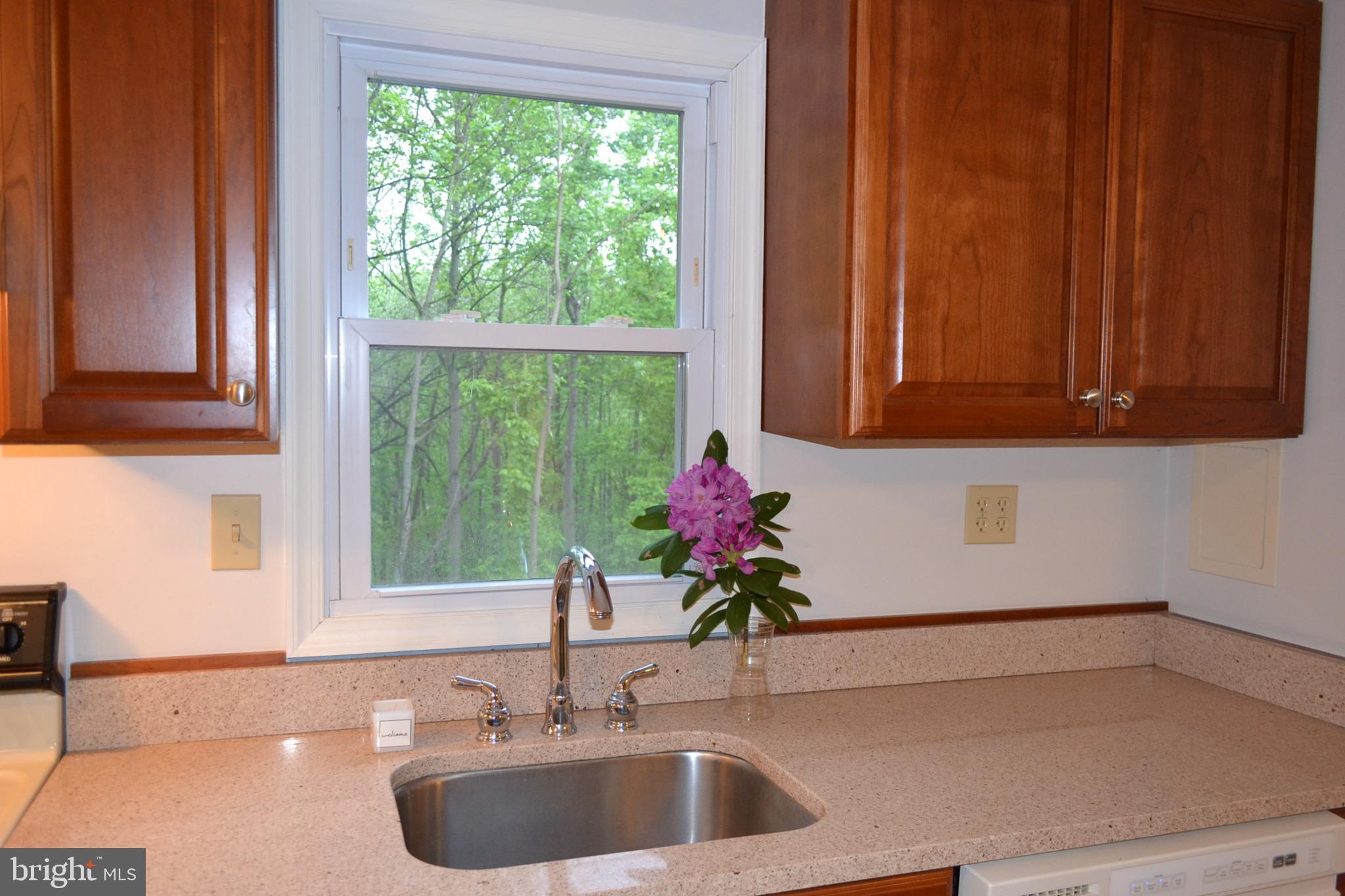 7201 Swagger Road New Hope, PA 18938 - Photo 9 of 33 Stainless Steel Sink