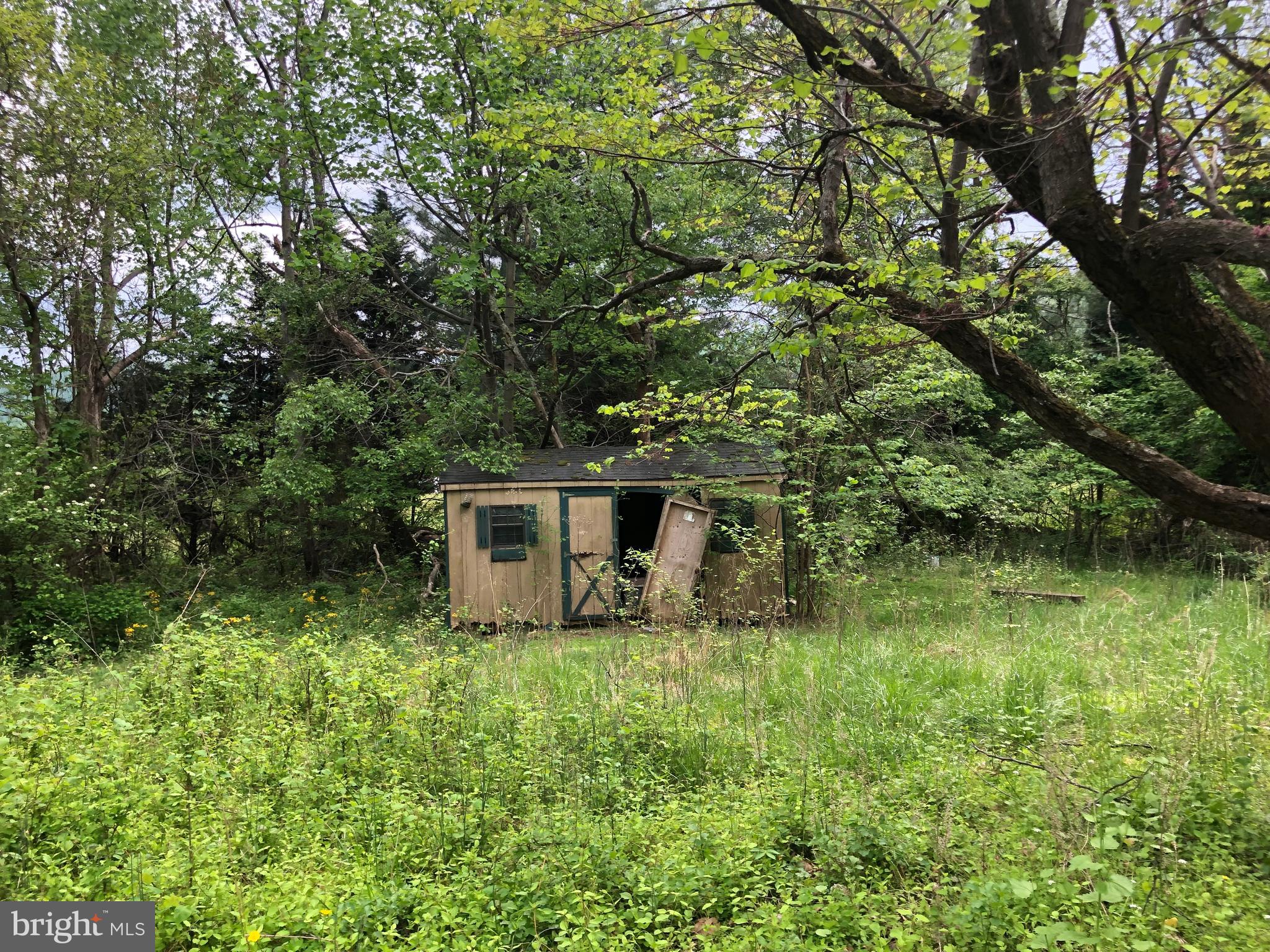 55 Mt Marshall Road Washington, VA 22747 - Photo 13 of 13 Shed.
