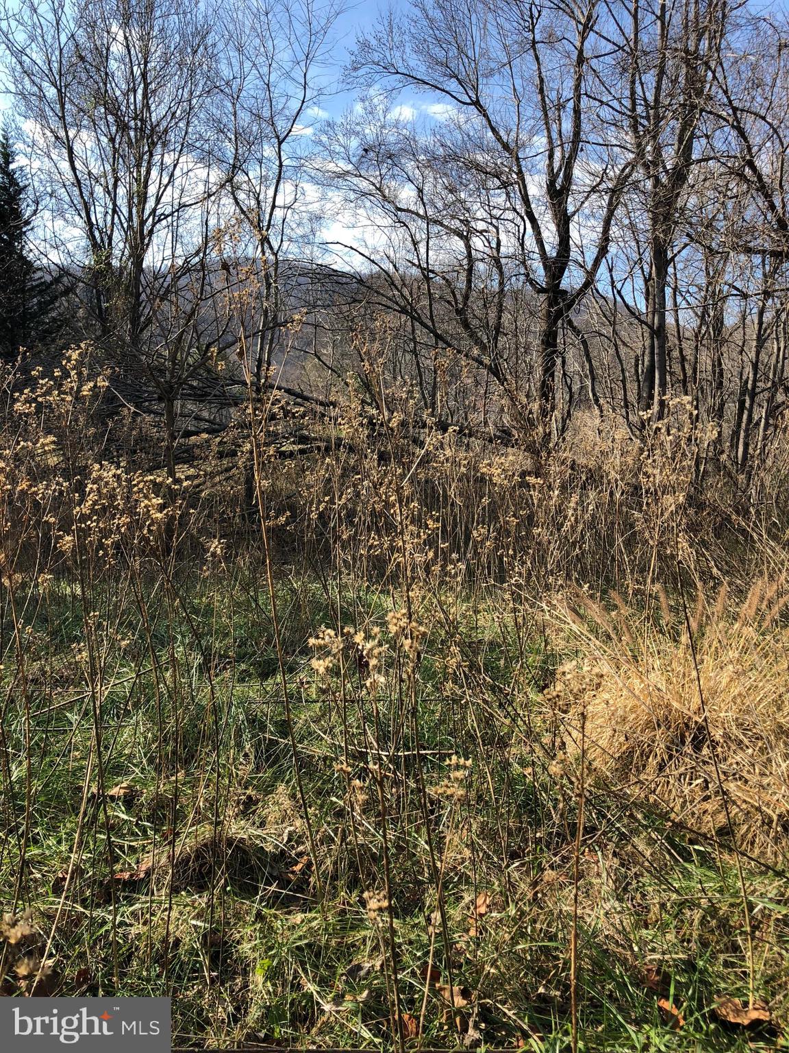 55 Mt Marshall Road Washington, VA 22747 - Photo 10 of 13 Winter views of mountains to the west.