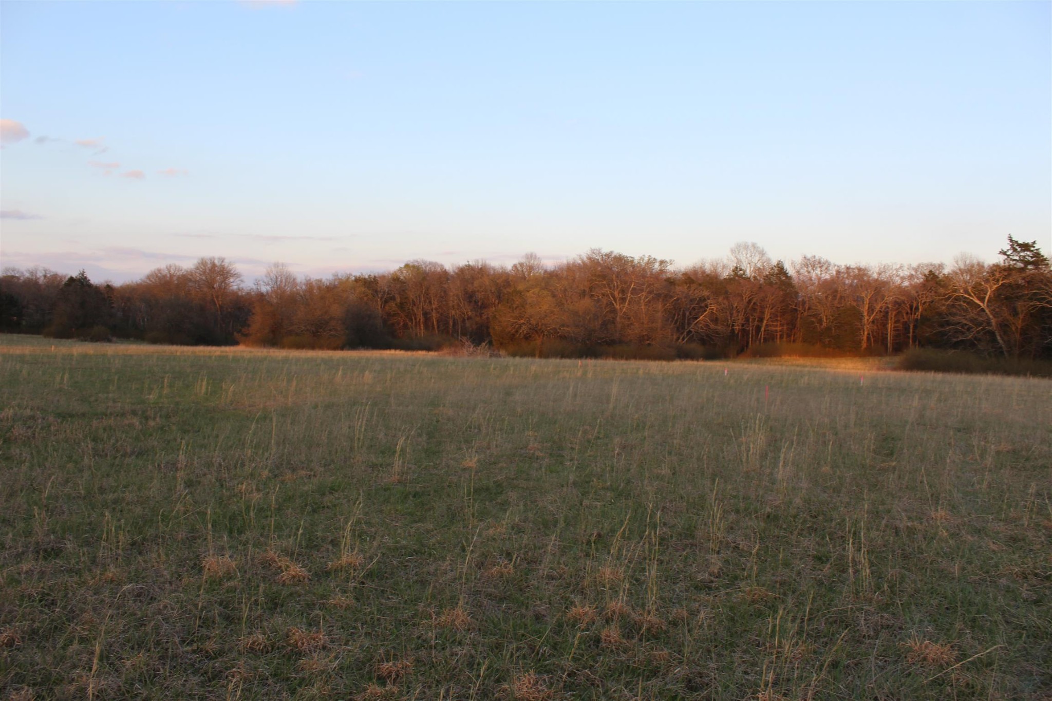 2 Betty Ford Road Murfreesboro, TN 37130 - Photo 1 of 1 Gallery Image 1