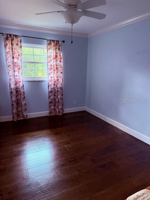 744 Cornwall Road Winter Park, FL 32792 - Photo 55 of 57 a view of room with hardwood floor and window