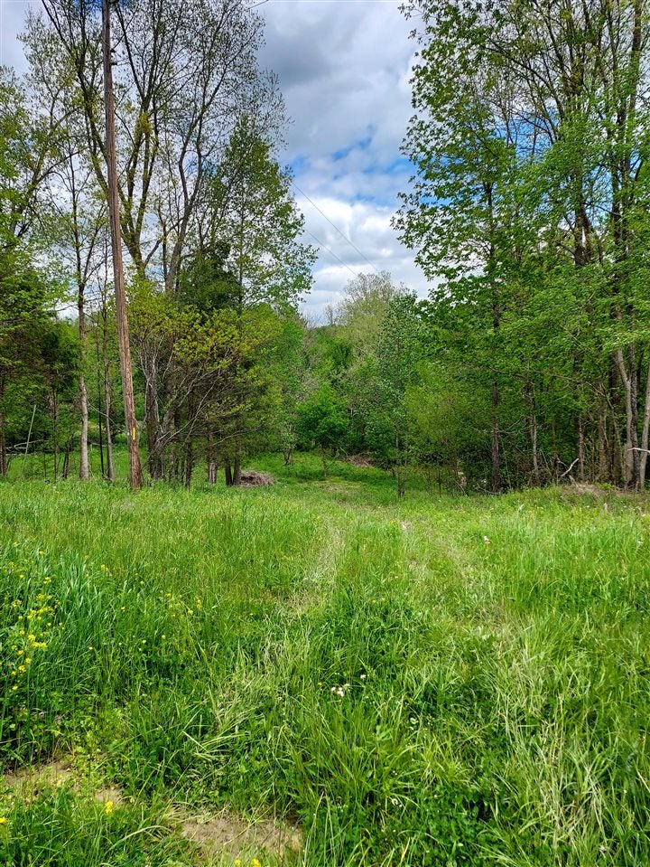 462 Knight Road Edmonton, KY 42129 - Photo 1 of 1 Gallery Image 1