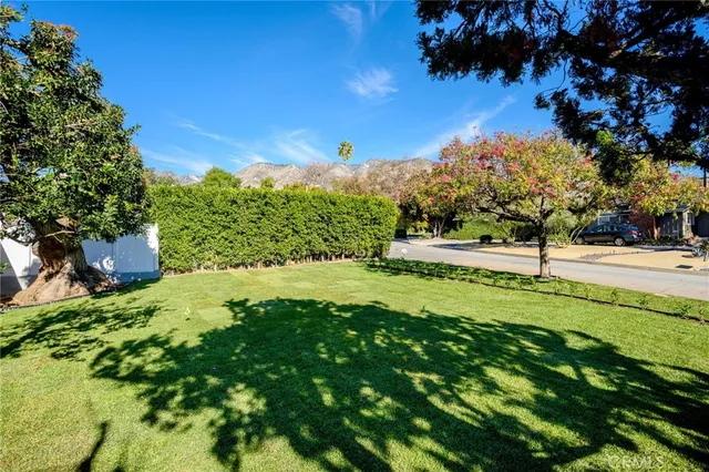 a view of a park with large trees