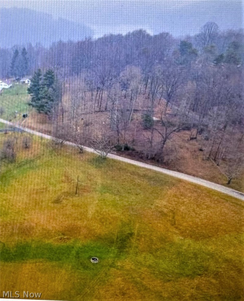 Deer Road Bowerston, OH 44695 - Photo 3 of 4