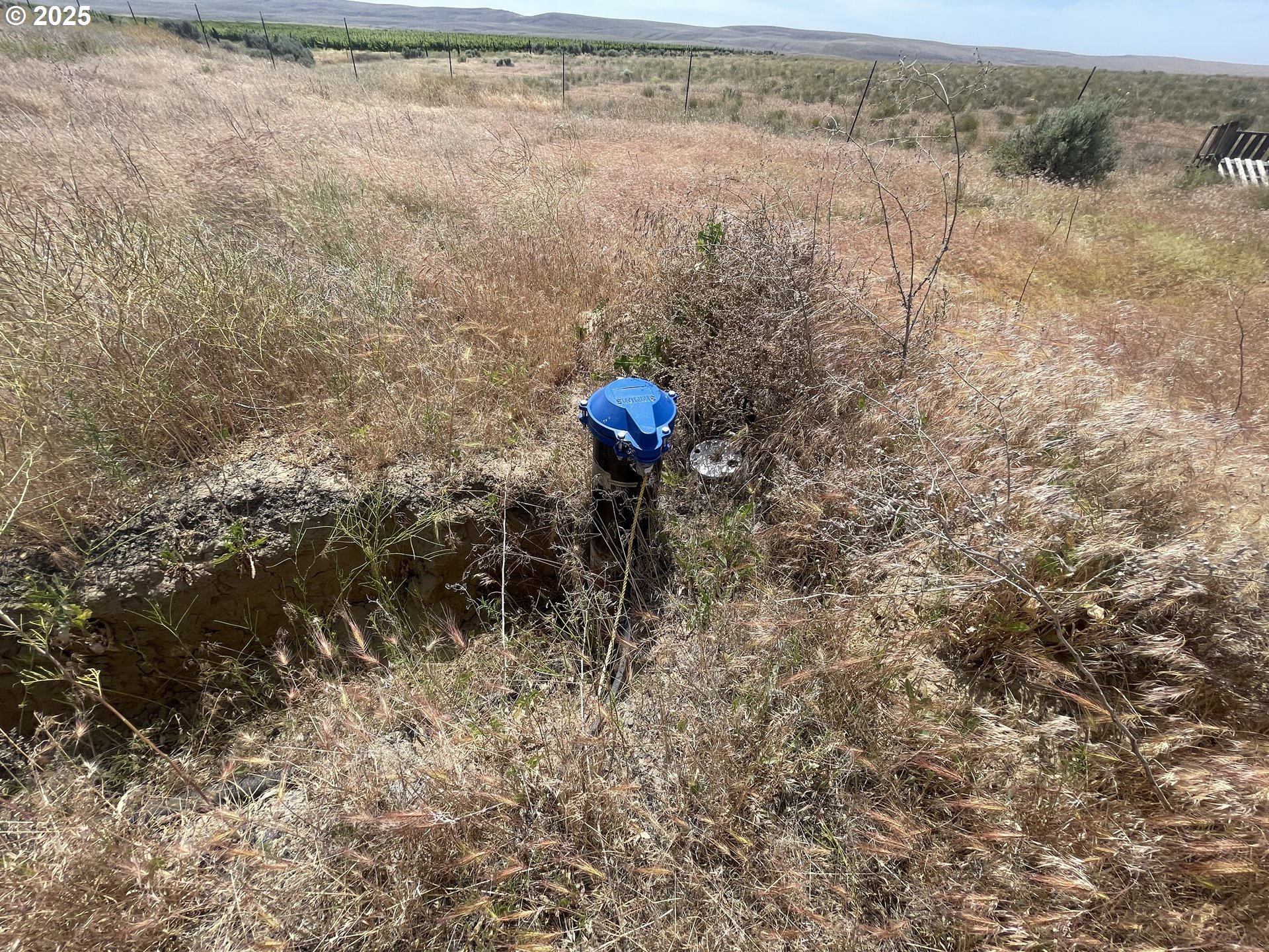 38 Vineyard View Drive Prosser, WA 99350 - Photo 18 of 20 a view of a dry yard