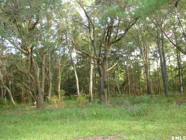 95 State Rd S-7-37 St. Helena Island, SC 29920 - Photo 4 of 6 Additional Photo