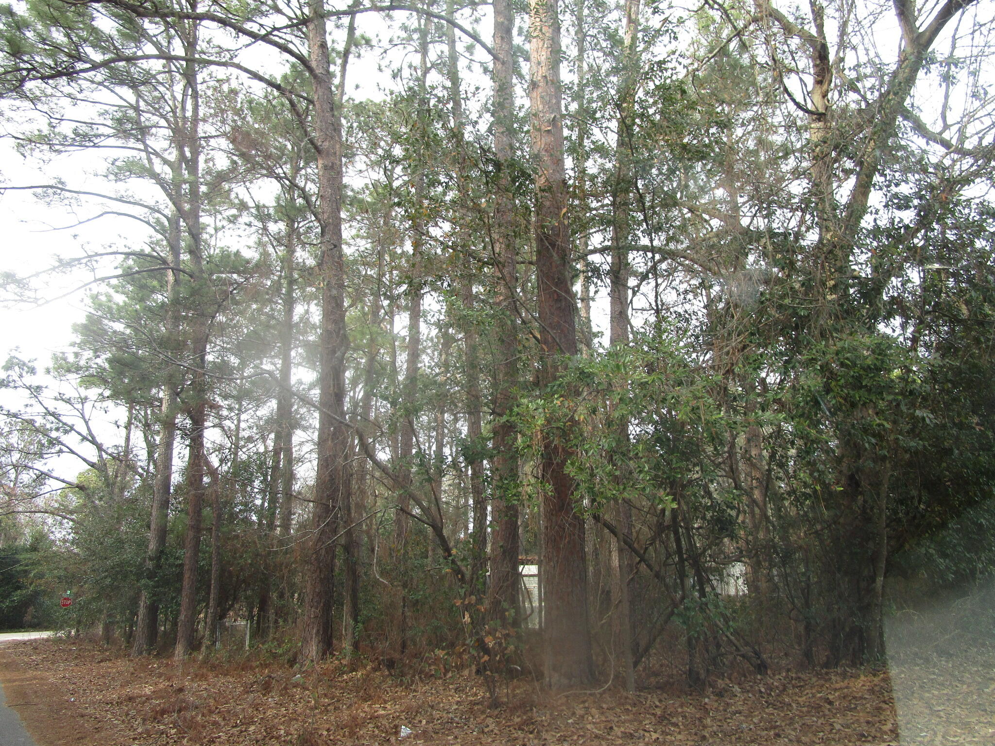 2605 Surry Street Augusta, GA 30906 - Photo 1 of 1 PICTURE LAND