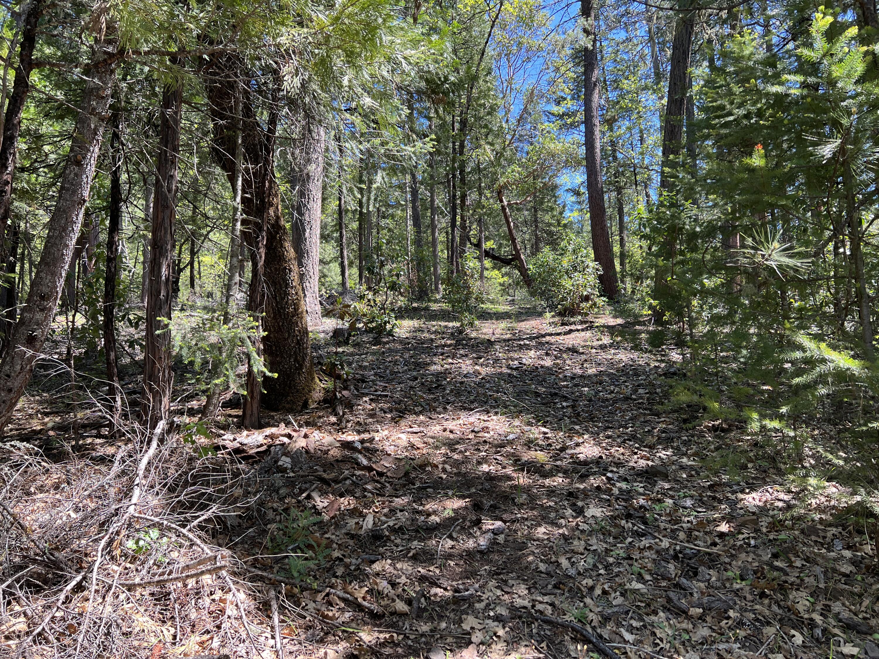 347 Flounce Rock Road Prospect, OR 97536 - Photo 11 of 12 IMG_2311