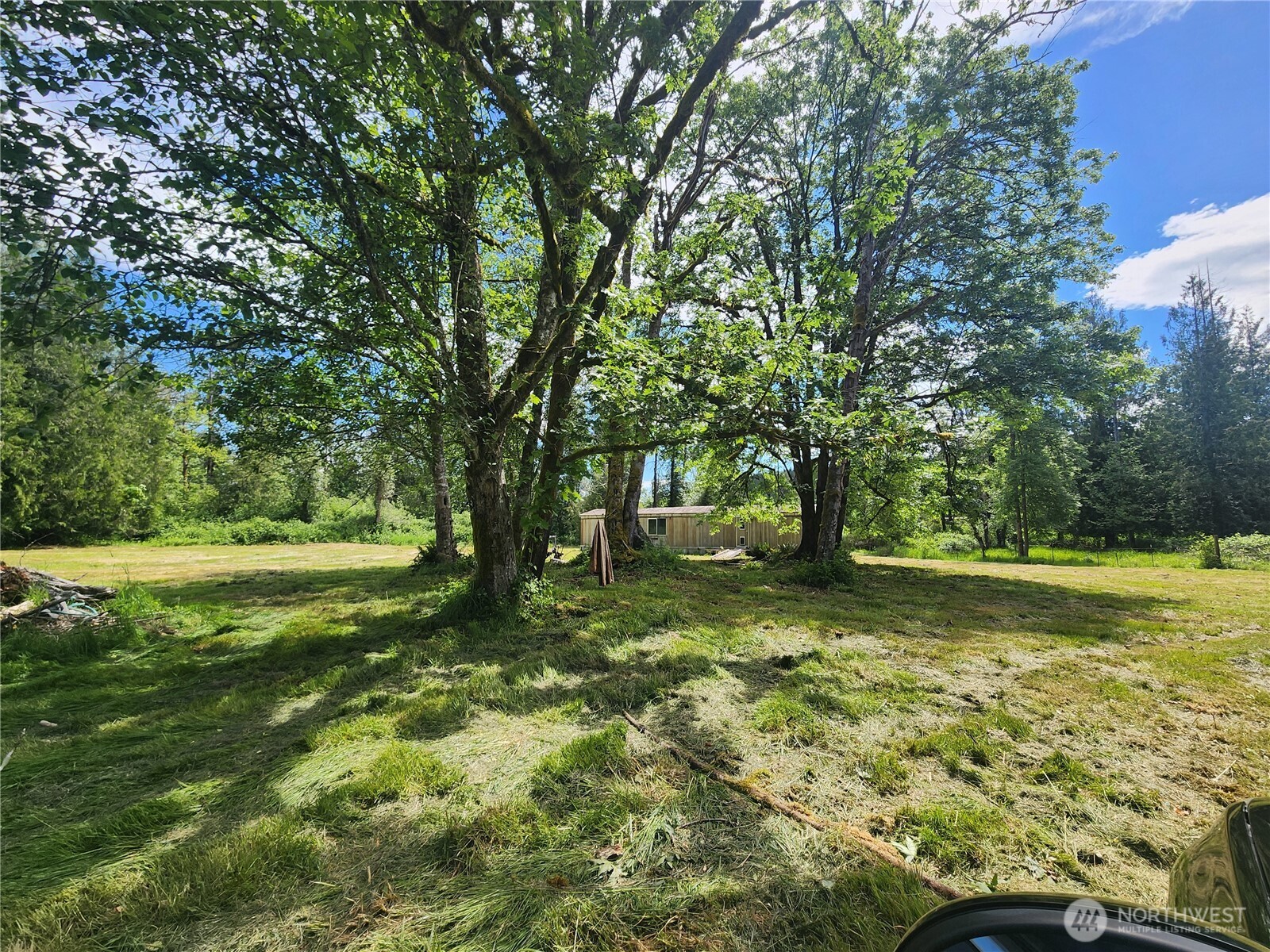 3758 Centralia Alpha Road Onalaska, WA 98570 - Photo 36 of 37
