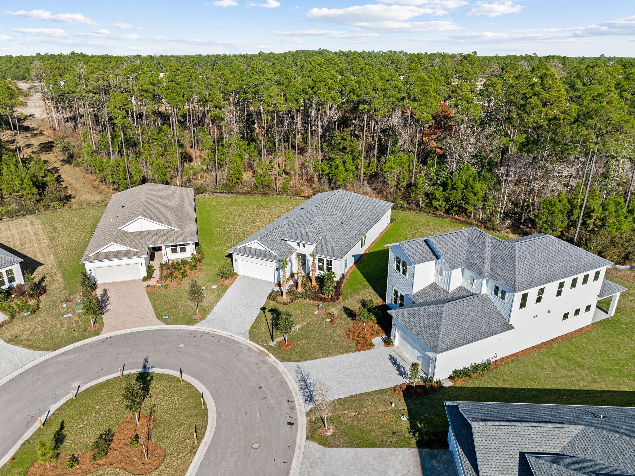 58 Ferndale Court Inlet Beach, FL 32461 - Photo 34 of 37 an aerial view of a house with a big yard