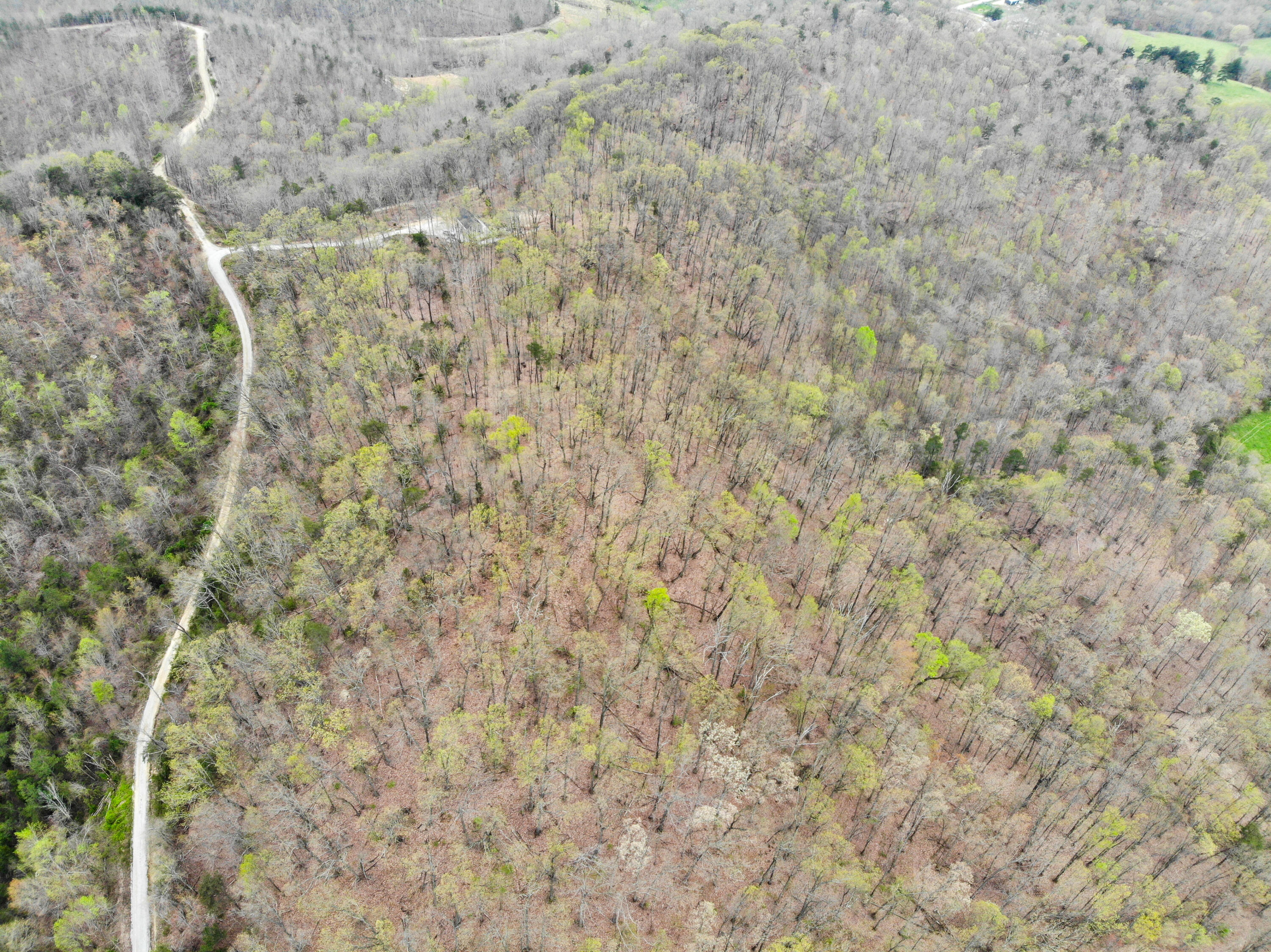 9999 Flat Gap Road Berea, KY 40403 - Photo 2 of 14 DJI_0537-2