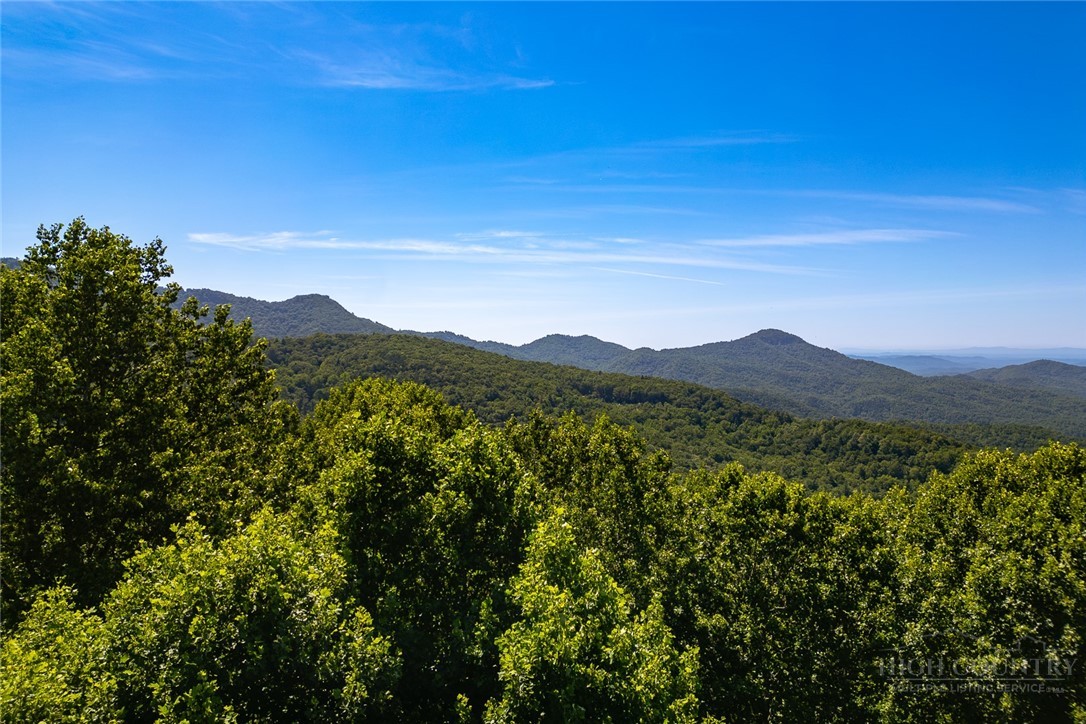 Lot 4 Old Orchard Road Lenoir, NC 28645 - Photo 21 of 23