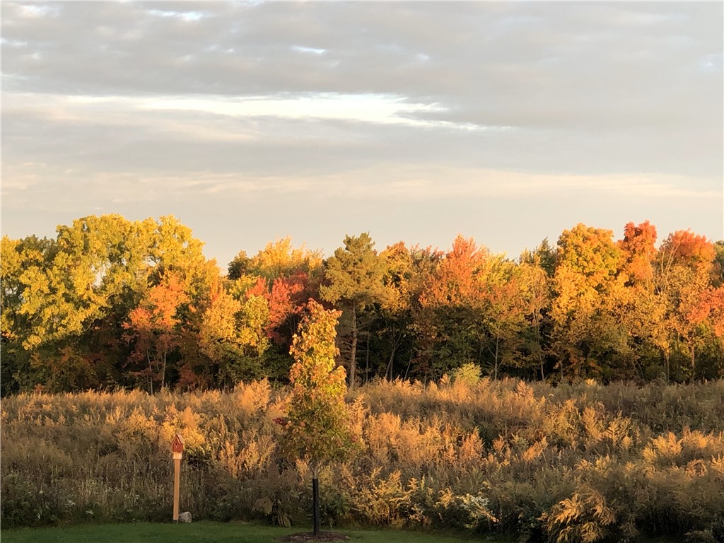 83 Coventry Ridge Pittsford, NY 14534 - Photo 49 of 50