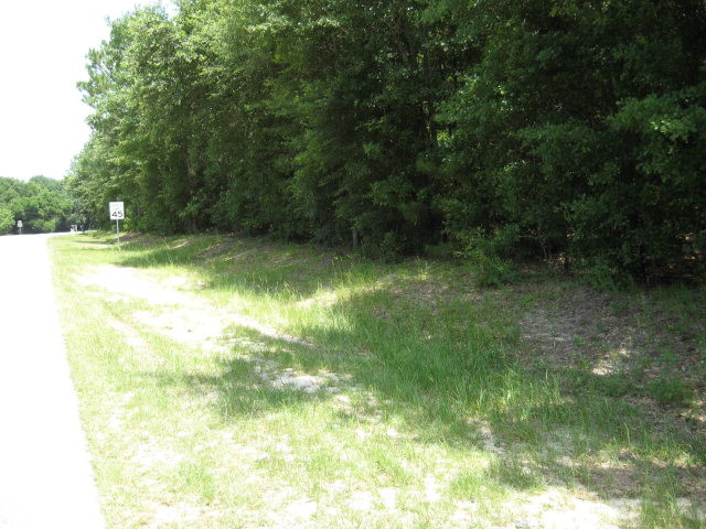 Norway Road Orangeburg, SC 29115 - Photo 3 of 3 Beason Road