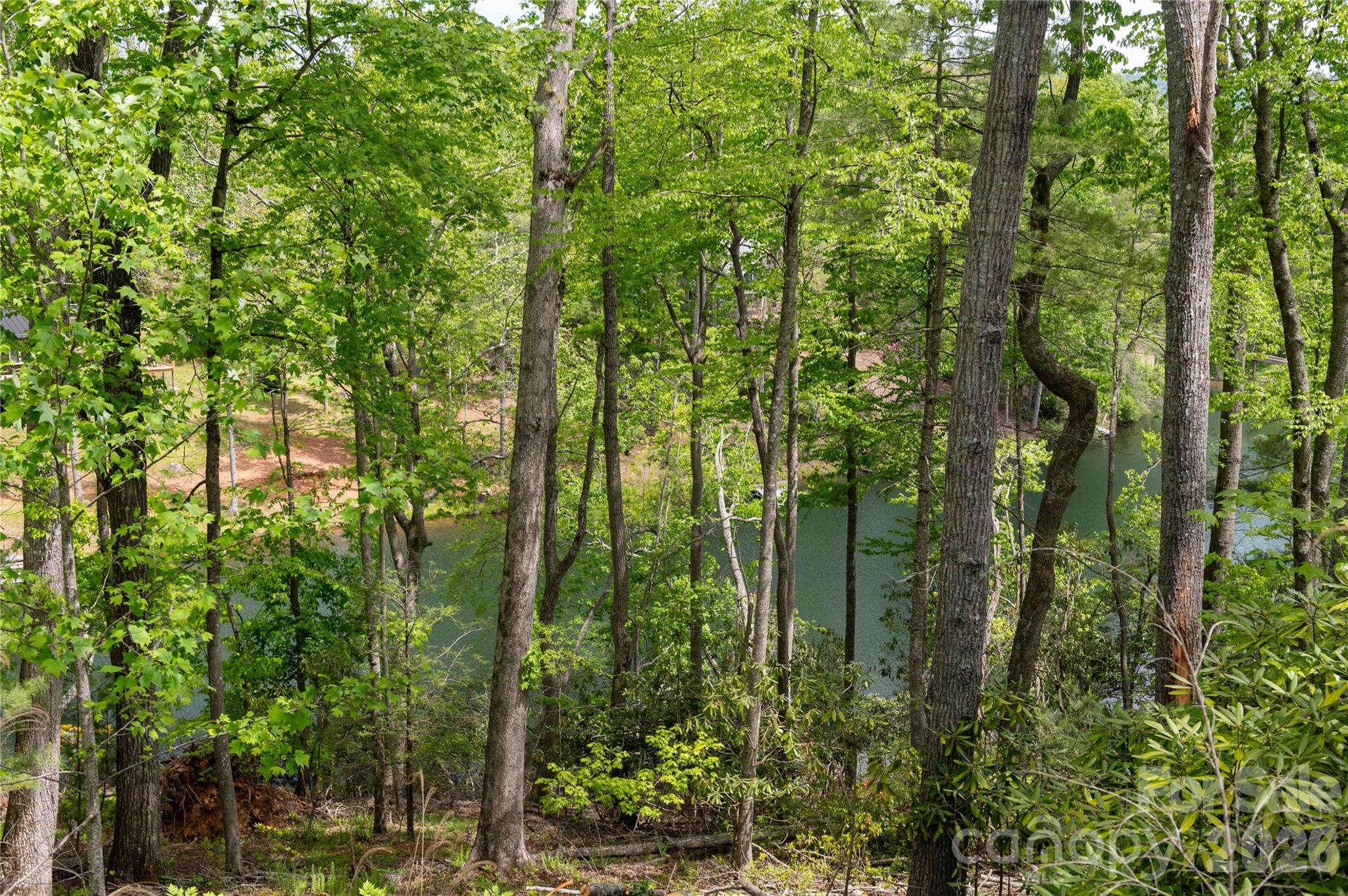 0 Deer Park Lake Road Spruce Pine, NC 28777 - Photo 5 of 24 a view of forest
