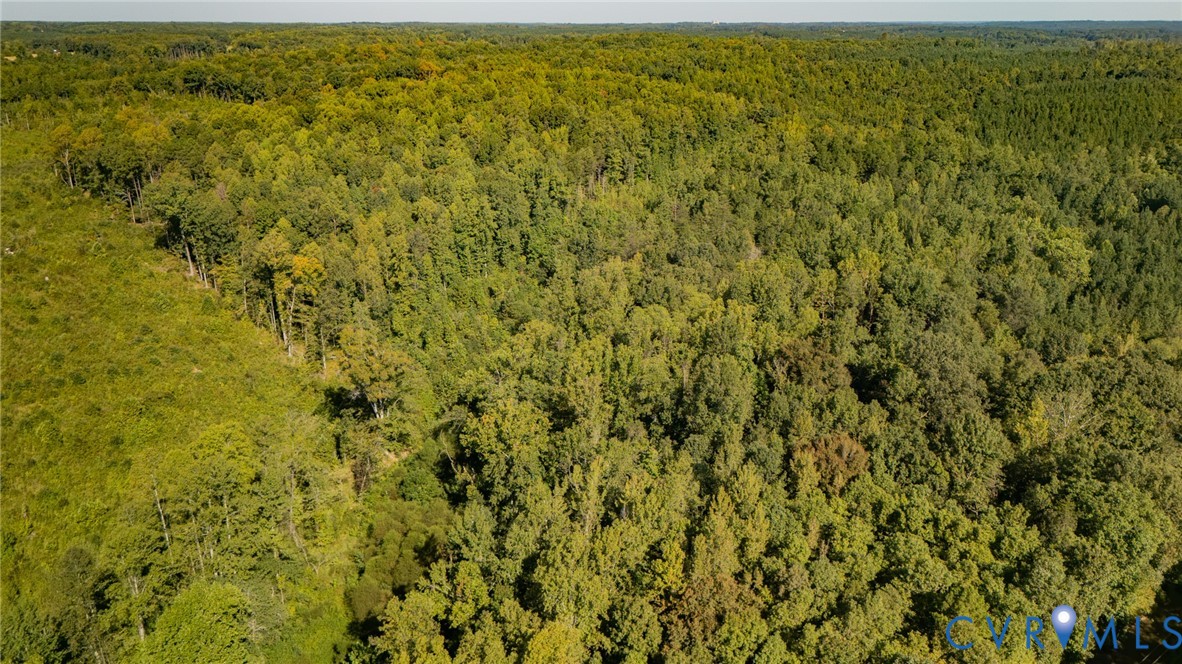0 Mountain Hall Road Crewe, VA 23930 - Photo 7 of 11 Expansive undeveloped land featuring dense tree co