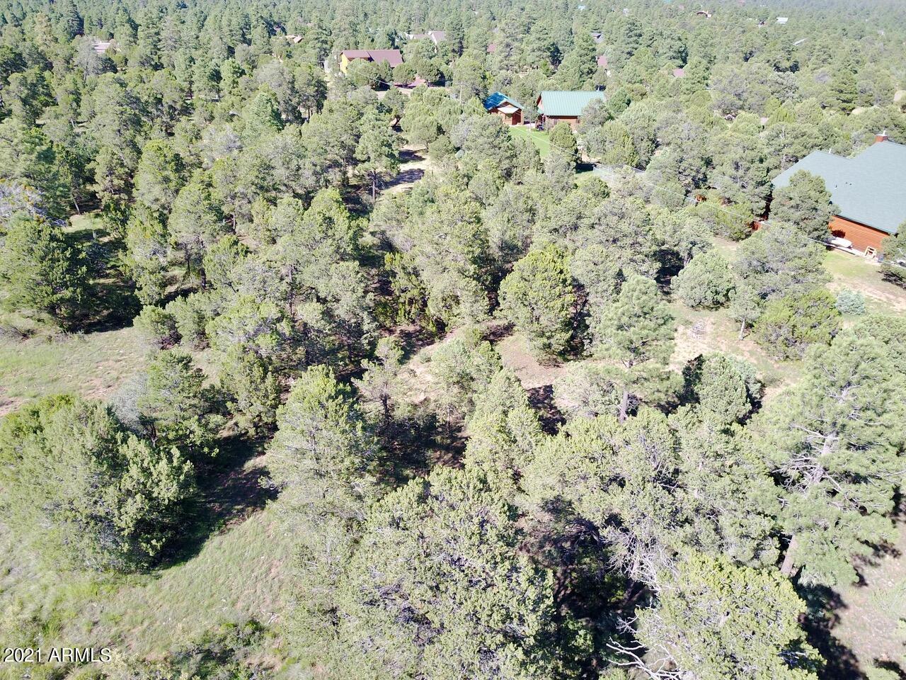 2204 4 Point Circle, Unit 402 Overgaard, AZ 85933 - Photo 3 of 6 DJI_0072