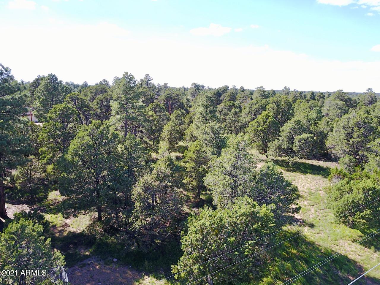 2204 4 Point Circle, Unit 402 Overgaard, AZ 85933 - Photo 5 of 6 DJI_0066