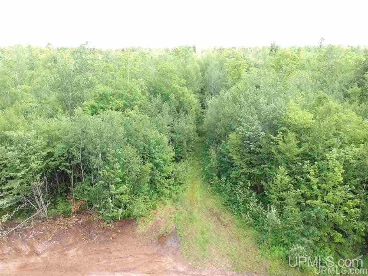 Tbd Oak Ridge Road Lake Linden, MI 49945 - Photo 3 of 10