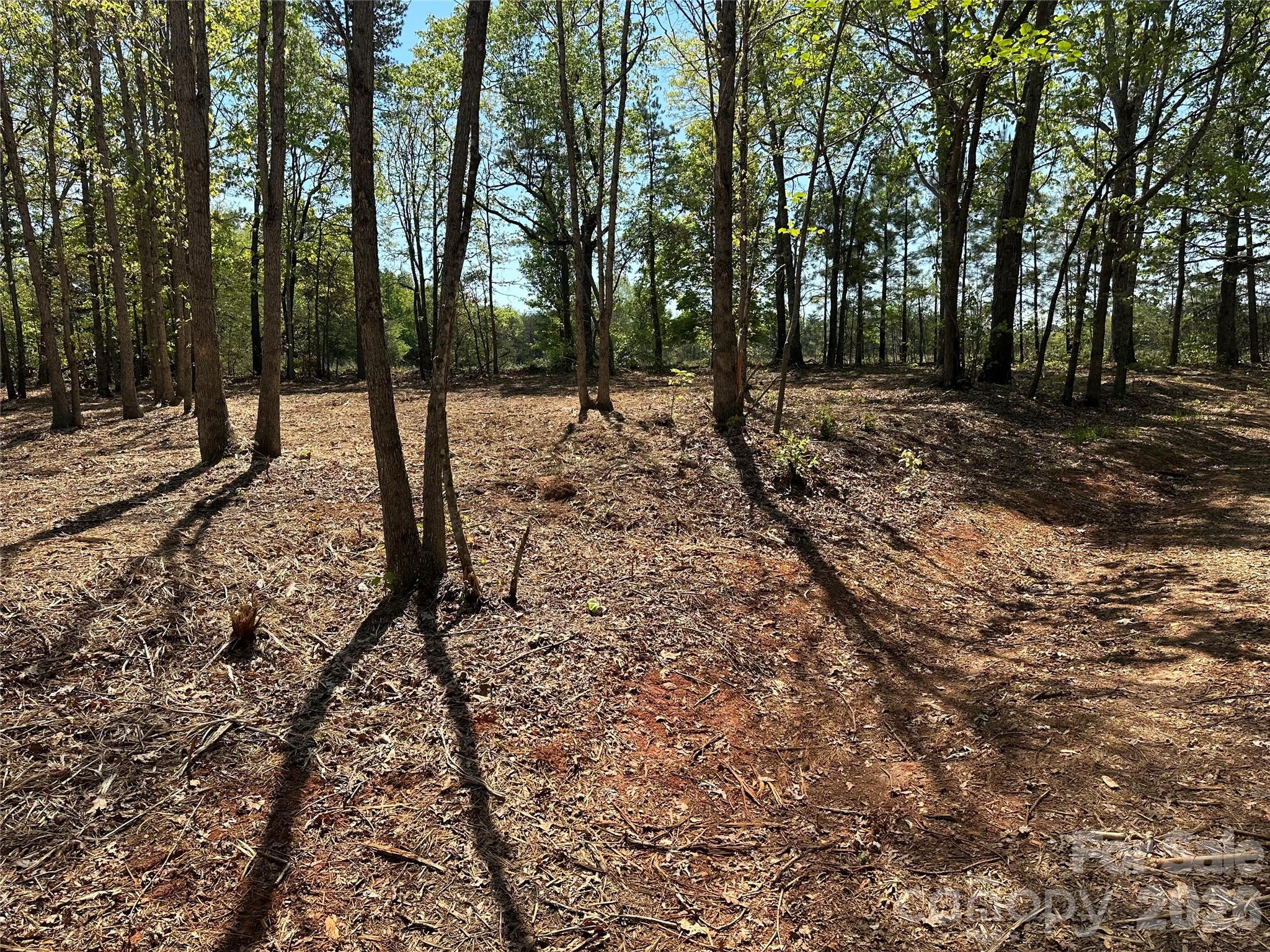 0 Stikeleather Road Hiddenite, NC 28636 - Photo 10 of 28 a view of a forest with trees