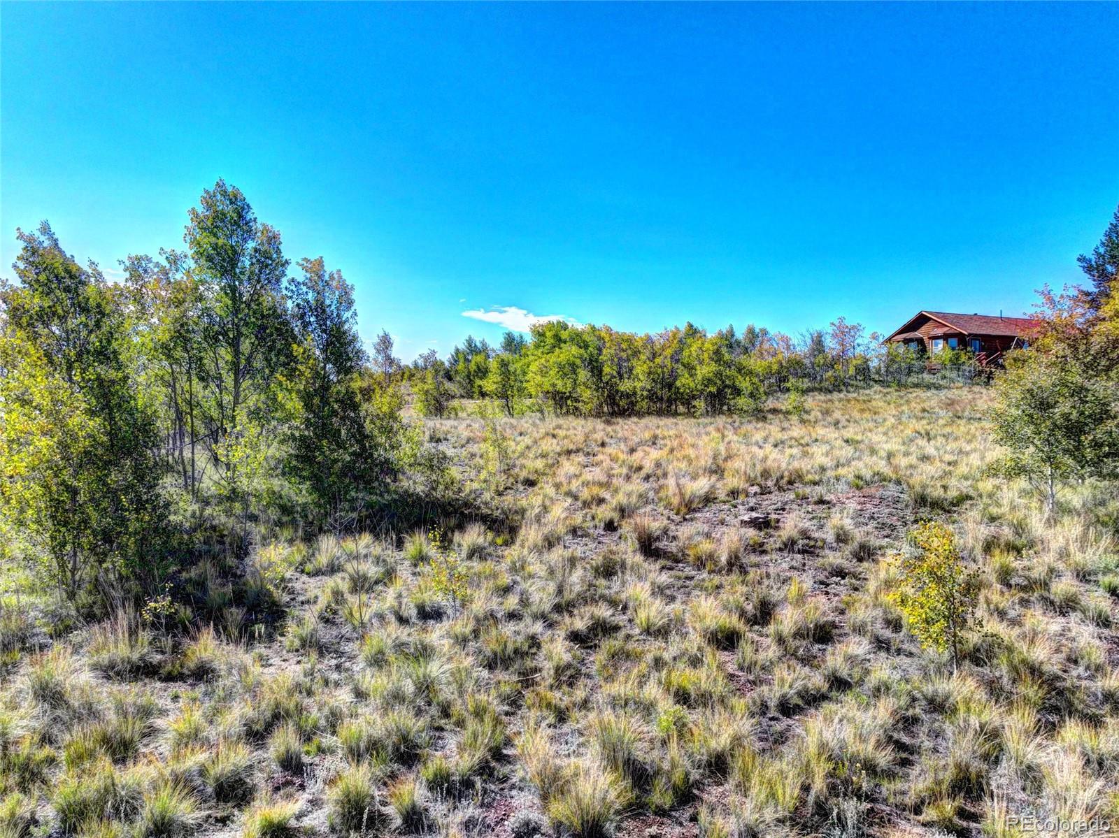 225 Antelope Way Como, CO 80432 - Photo 11 of 20 a view of a yard with a tree