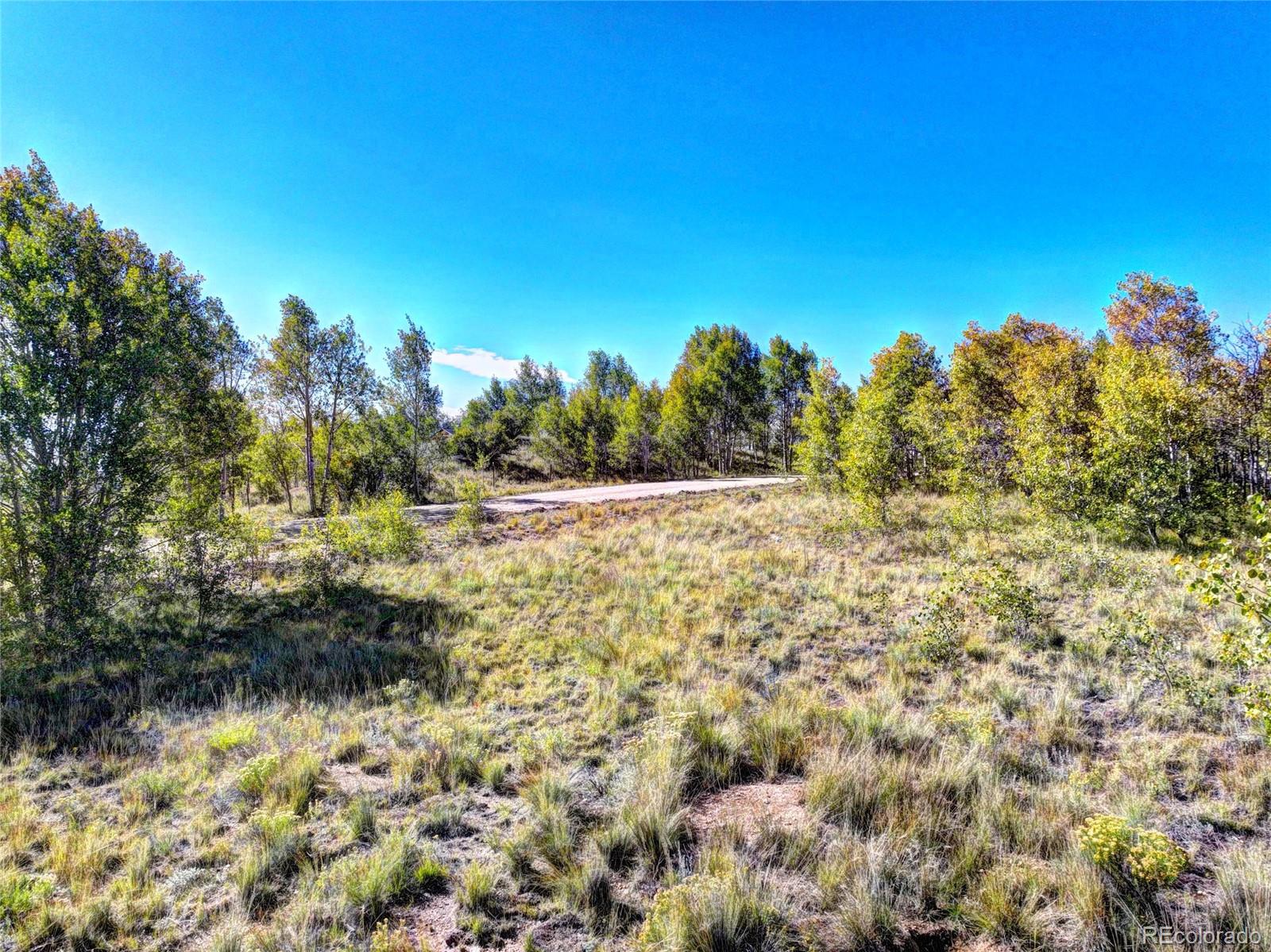 225 Antelope Way Como, CO 80432 - Photo 8 of 20 a view of a yard with a tree