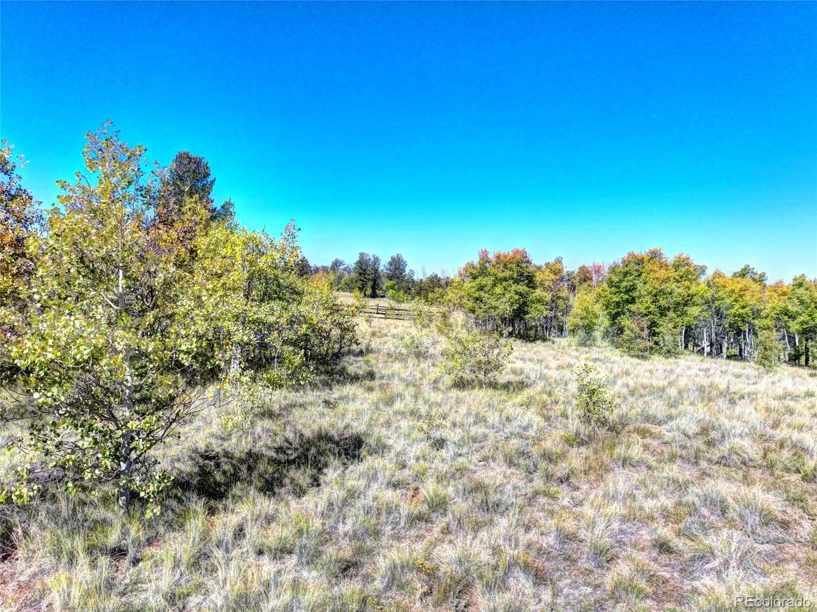 225 Antelope Way Como, CO 80432 - Photo 9 of 20 a view of a field
