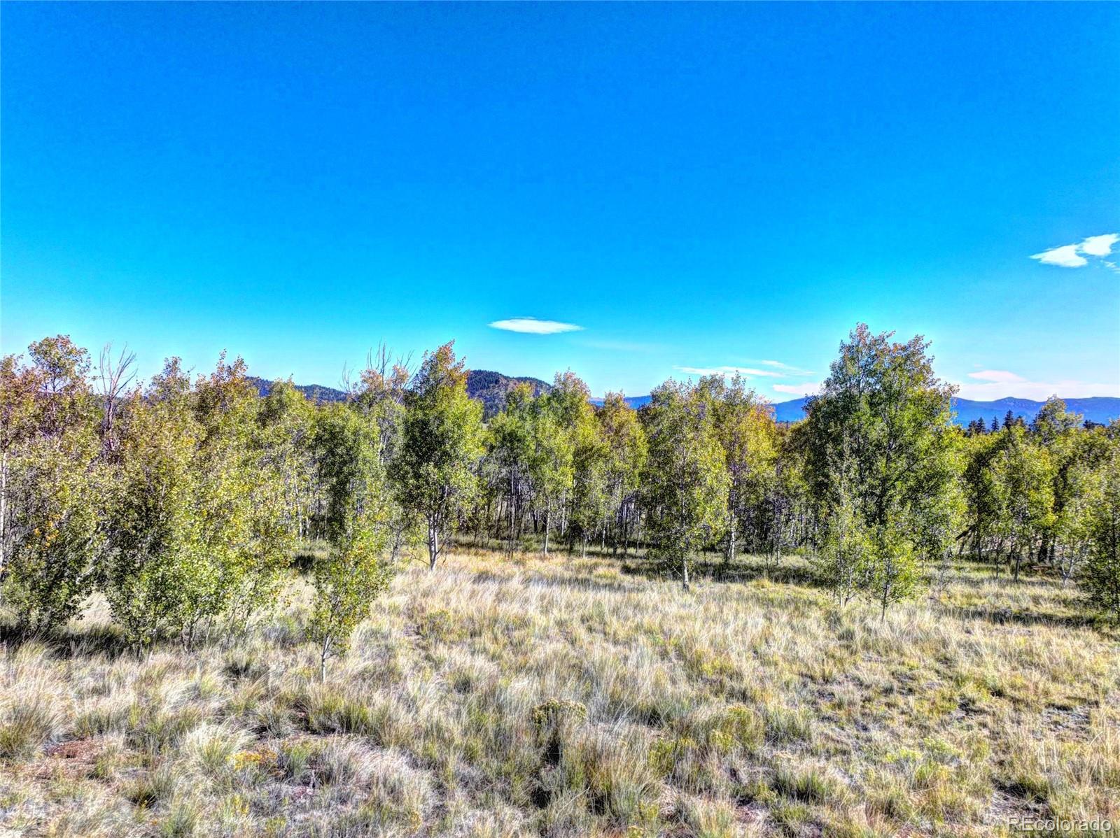 225 Antelope Way Como, CO 80432 - Photo 10 of 20 a view of a yard with a tree