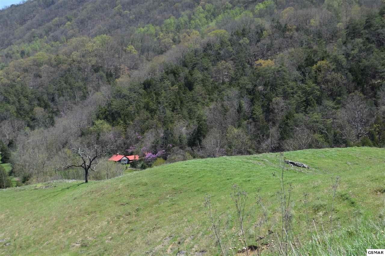 617 War Creek Road Eidson, TN 37731 - Photo 24 of 35