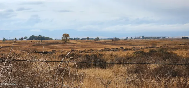 a view of an ocean and beach