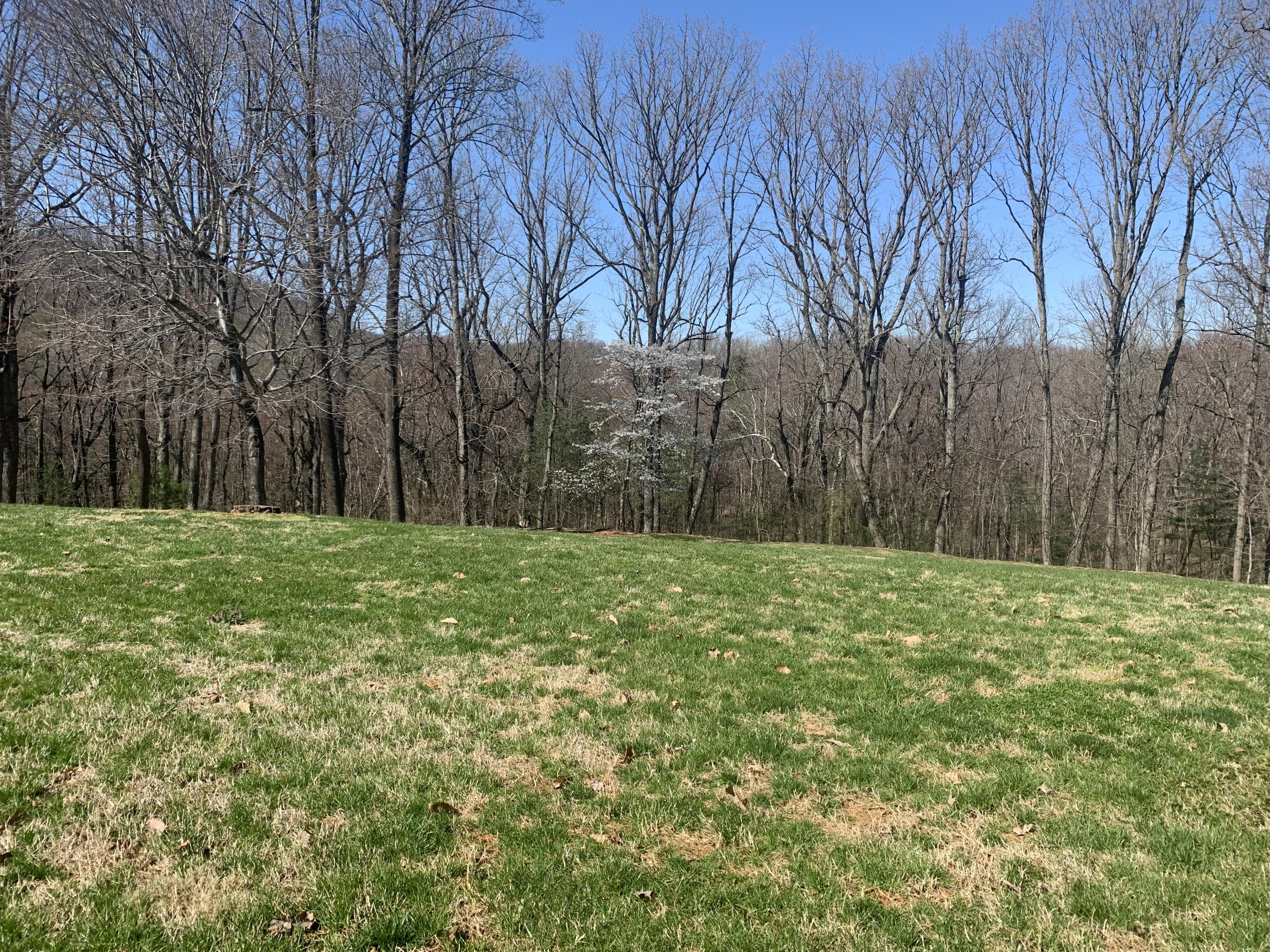 230 Cornell Road Rocky Mount, VA 24151 - Photo 29 of 35 D2C79E0A-F4F4-41FA-AF35-2C84E22E408F